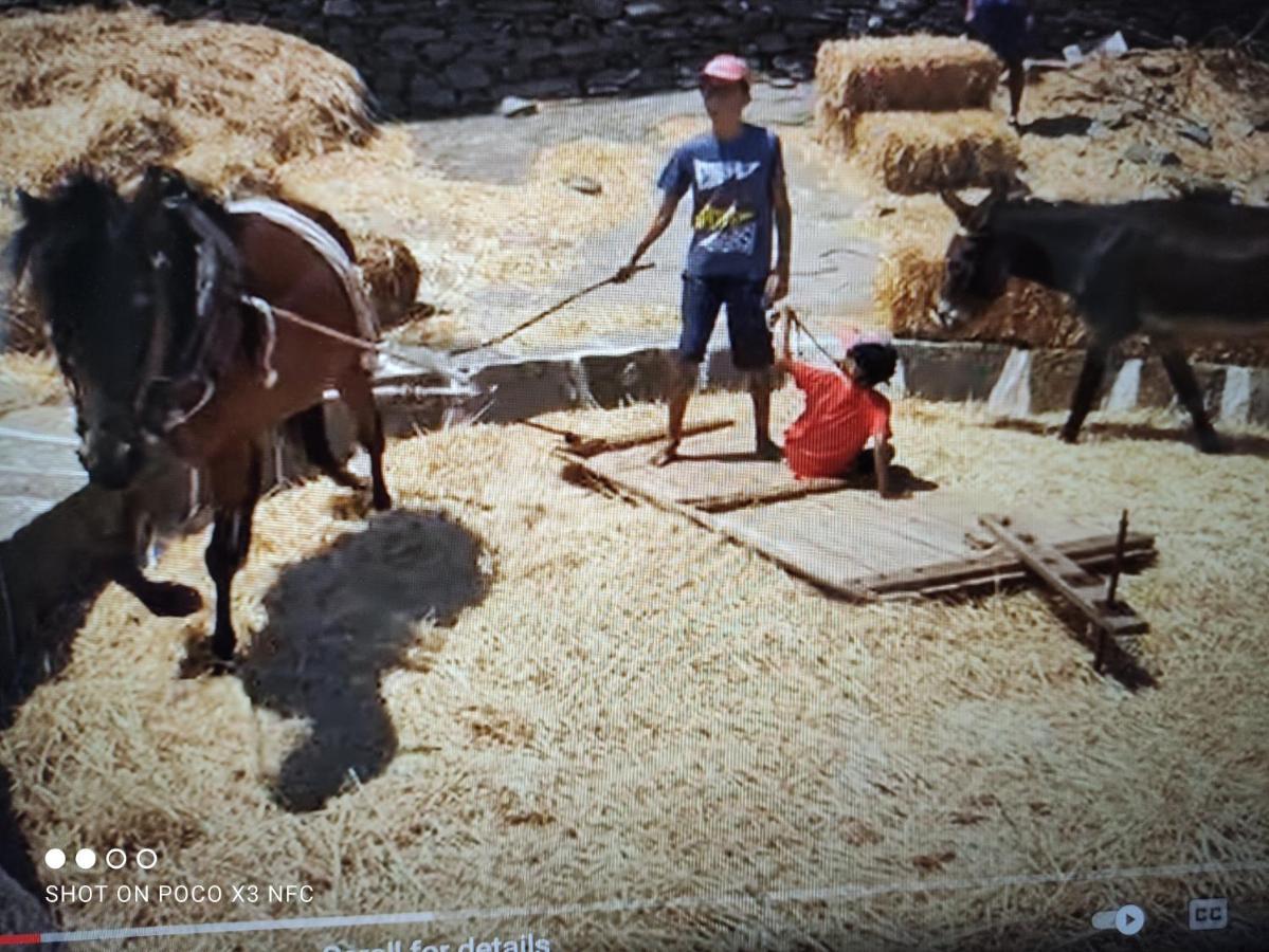 Kampos Home Apollonía Dış mekan fotoğraf
